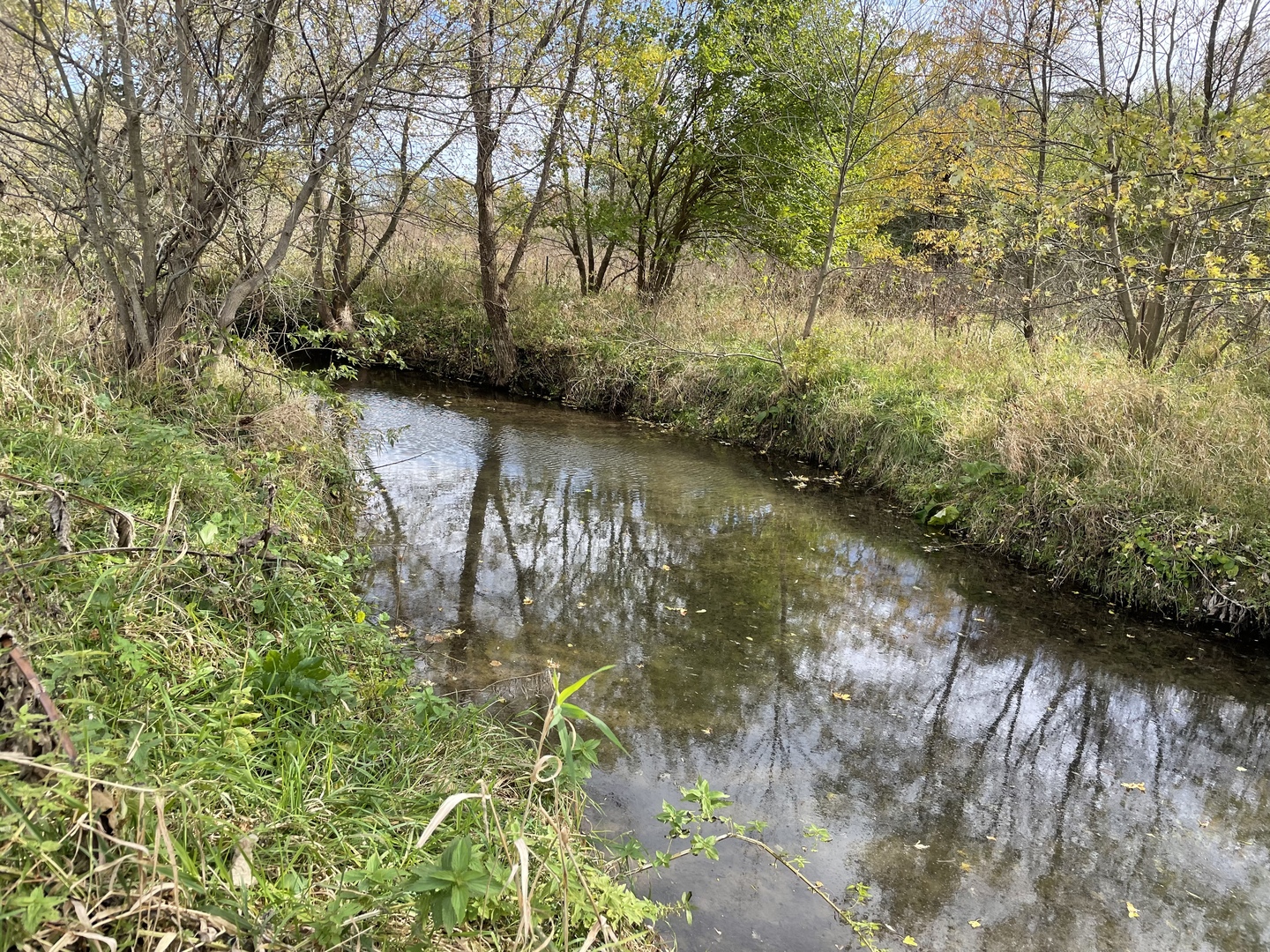 5670 Town Line Road Leaf River, IL 61047 - Photo 5 of 24 a view of a lake with a tree