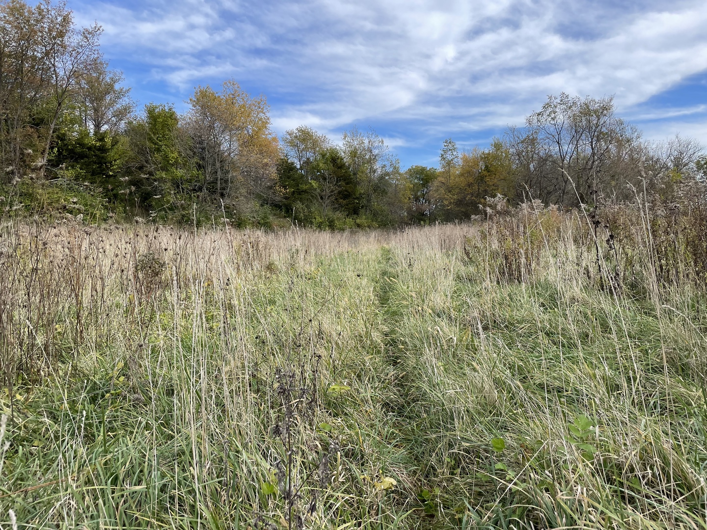5670 Town Line Road Leaf River, IL 61047 - Photo 7 of 24 a view of a lake with top of house