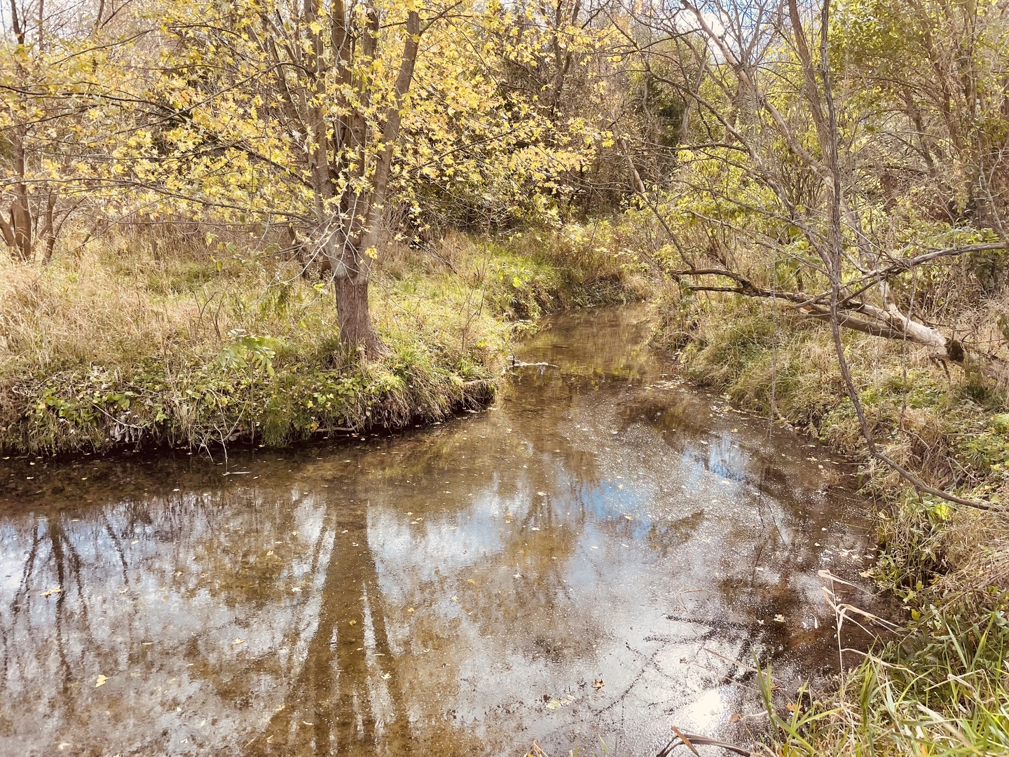 5670 Town Line Road Leaf River, IL 61047 - Photo 8 of 24 a view of a lake