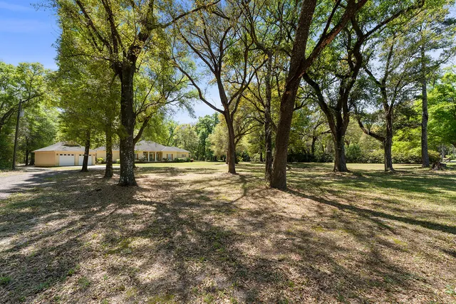 a view of outdoor space with trees