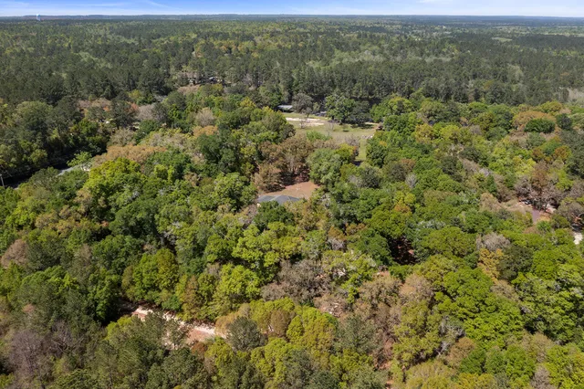 an aerial view of forest