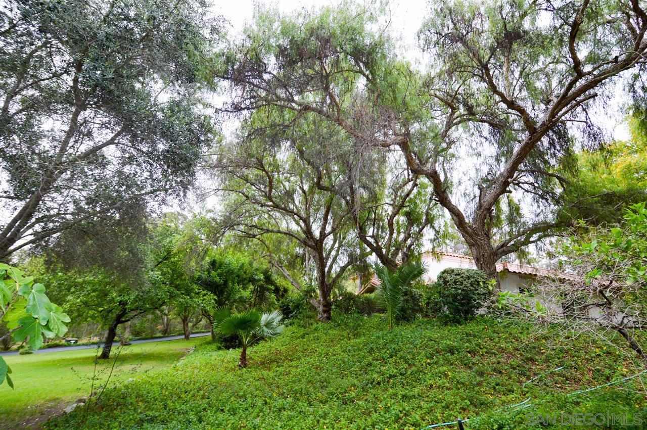 7401 Luna De Oro Rancho Santa Fe, CA 92067 - Photo 23 of 25