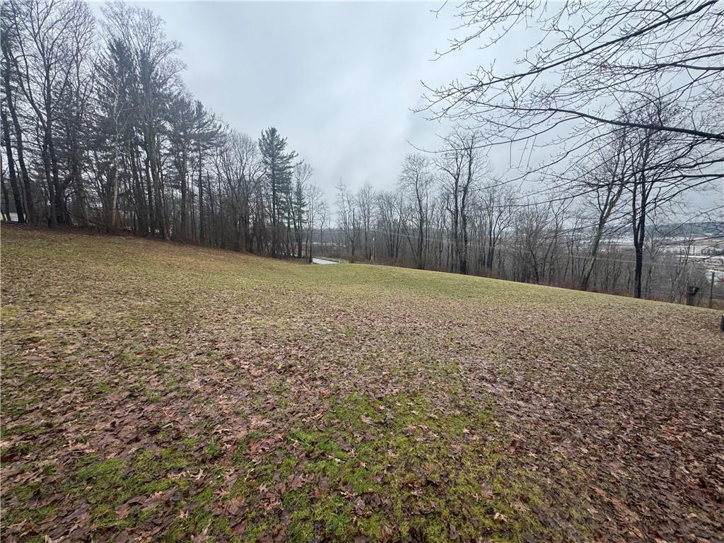 a view of backyard with tree
