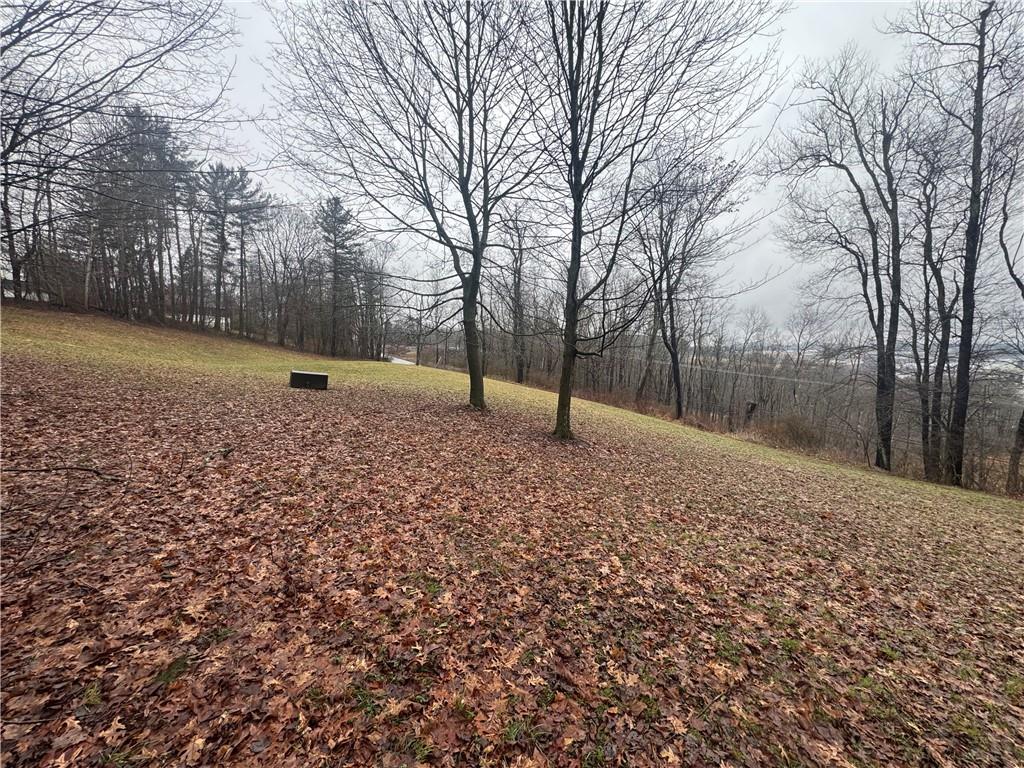 425 Felgar Road Somerset, PA 15501 - Photo 3 of 10 a backyard of apartments with large trees