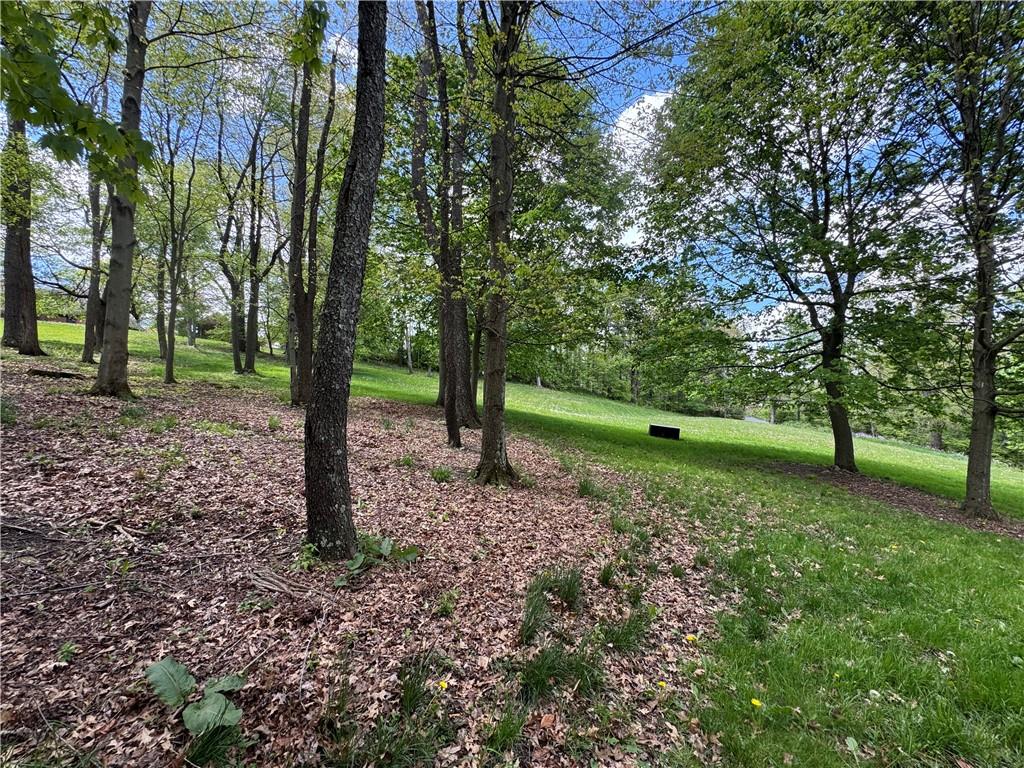 425 Felgar Road Somerset, PA 15501 - Photo 4 of 11 a view of a yard with a tree