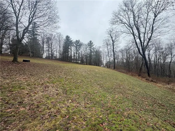 a view of a yard with a tree