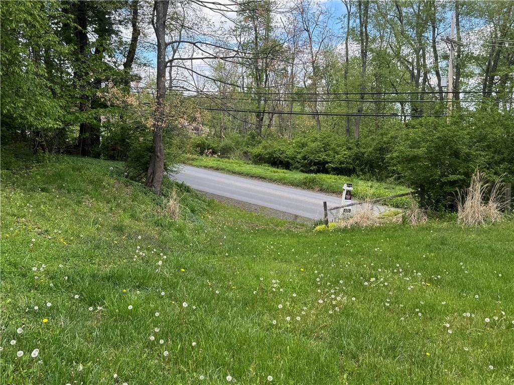 425 Felgar Road Somerset, PA 15501 - Photo 7 of 11 a view of a park with large trees