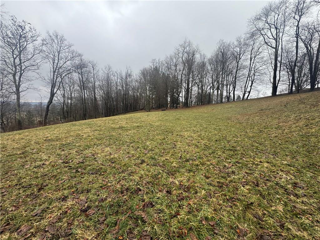 425 Felgar Road Somerset, PA 15501 - Photo 7 of 10 a view of large yard with large trees