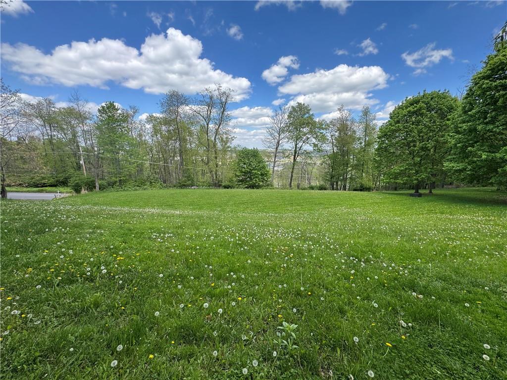 425 Felgar Road Somerset, PA 15501 - Photo 9 of 11 a view of a big yard with palm trees and a big yard