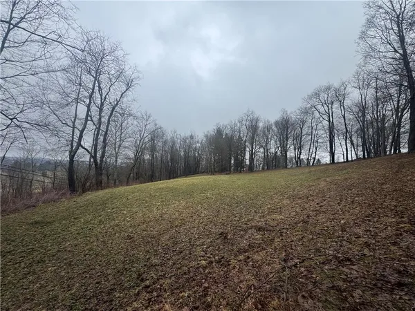 a view of a field with trees in the background