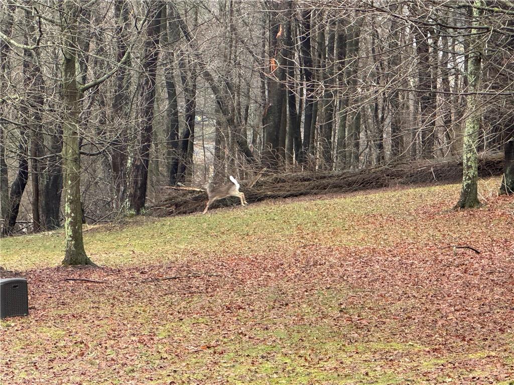 425 Felgar Road Somerset, PA 15501 - Photo 10 of 10 a view of a yard with wooden fence