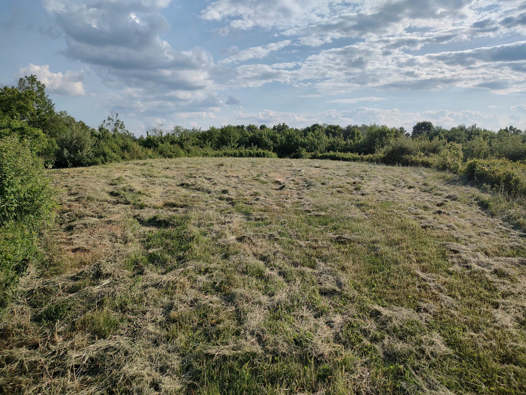 Manor Rock Road Elizaville, NY 12523 - Photo 11 of 18 View of landscape featuring a rural view