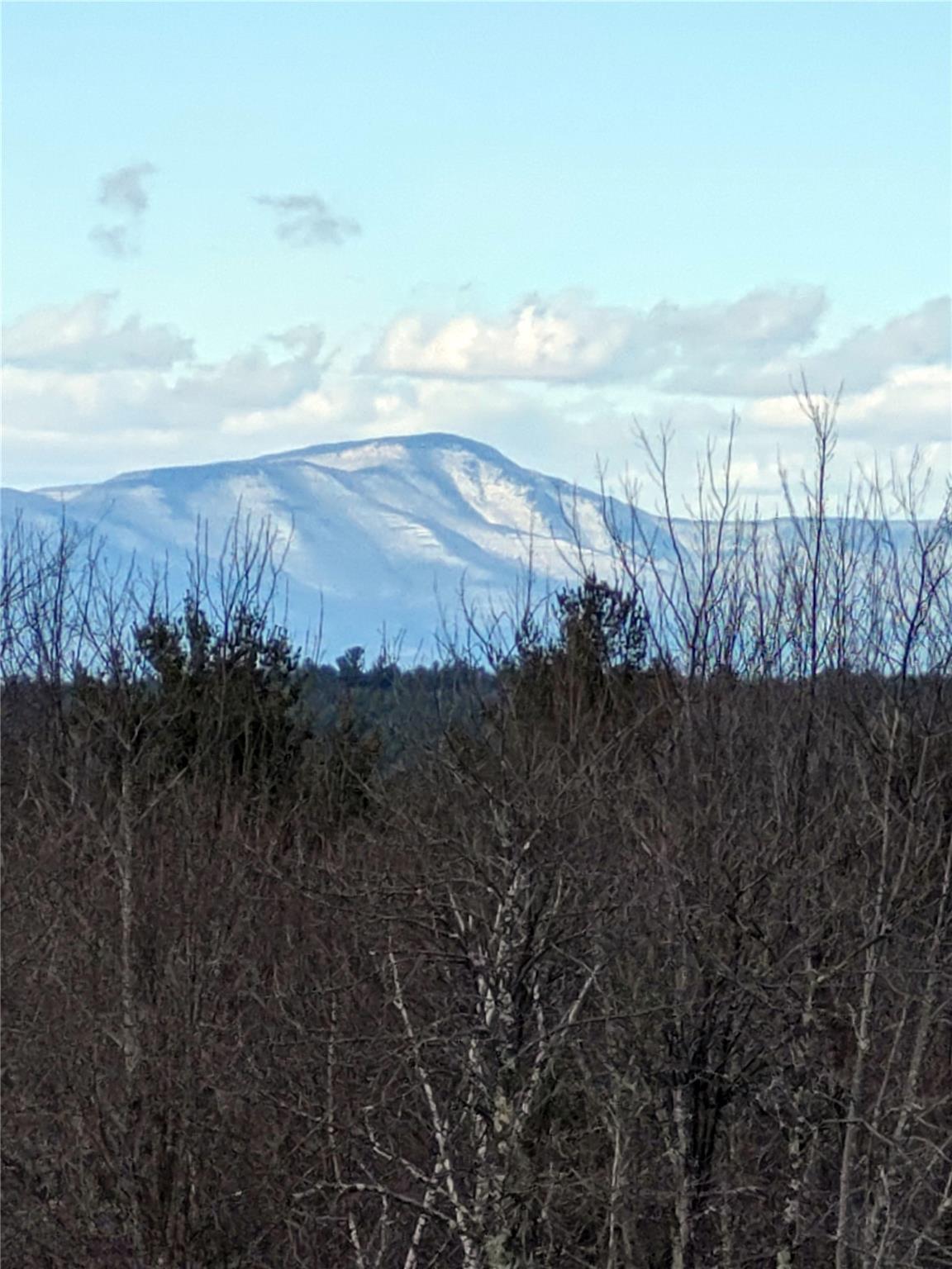 Manor Rock Road Elizaville, NY 12523 - Photo 5 of 18 Mountain view