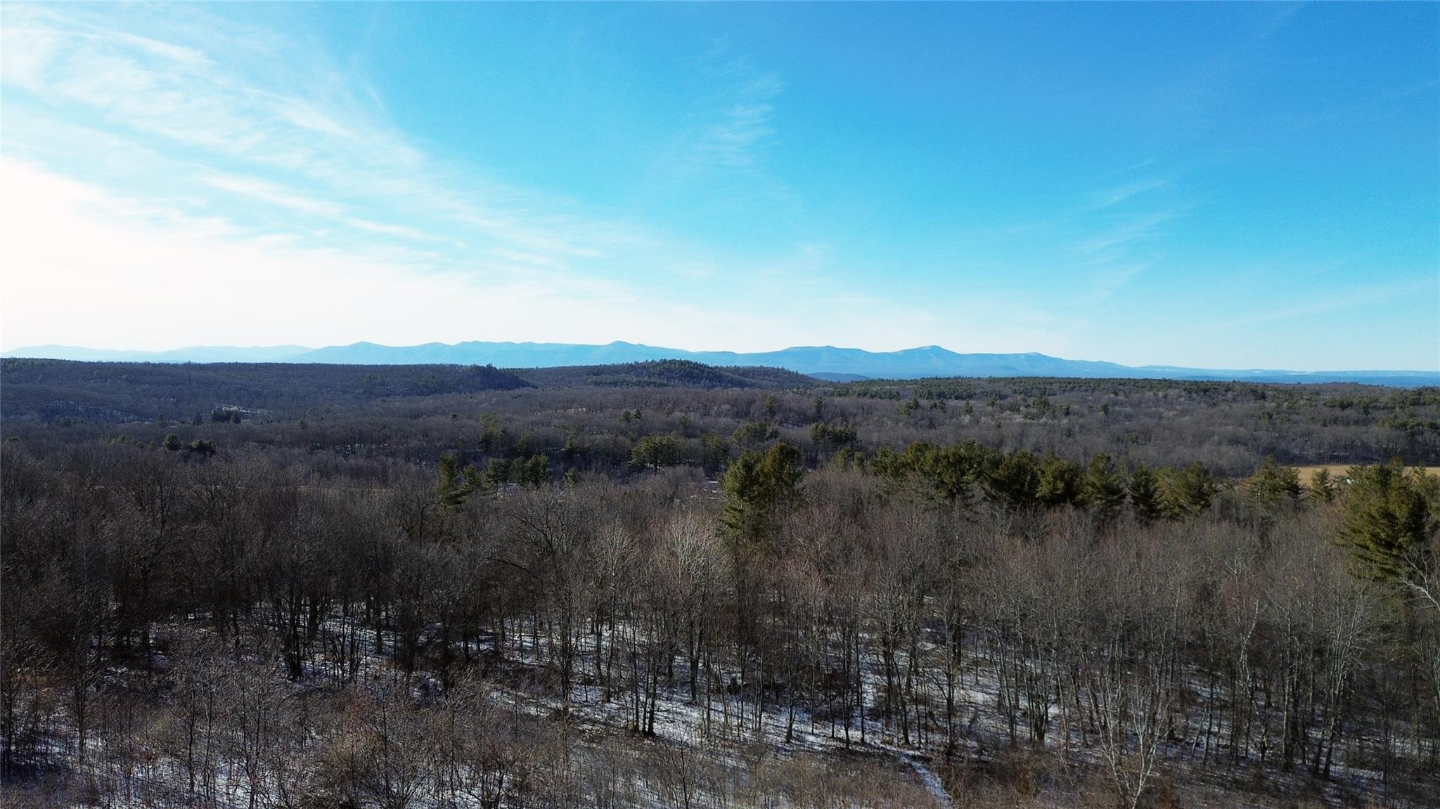 Manor Rock Road Elizaville, NY 12523 - Photo 8 of 18 Property view of mountains