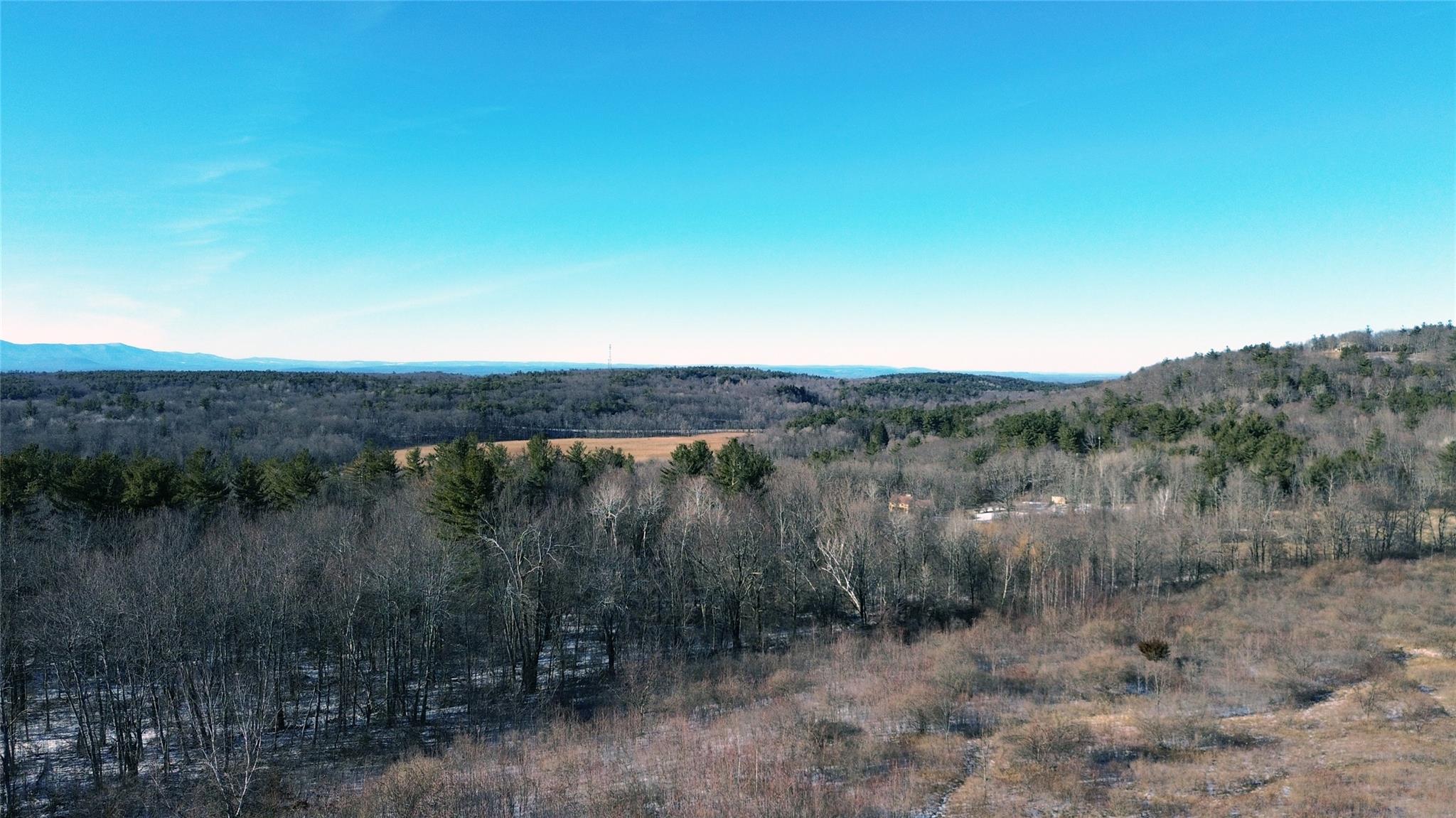 Manor Rock Road Elizaville, NY 12523 - Photo 9 of 18 Property view of mountains