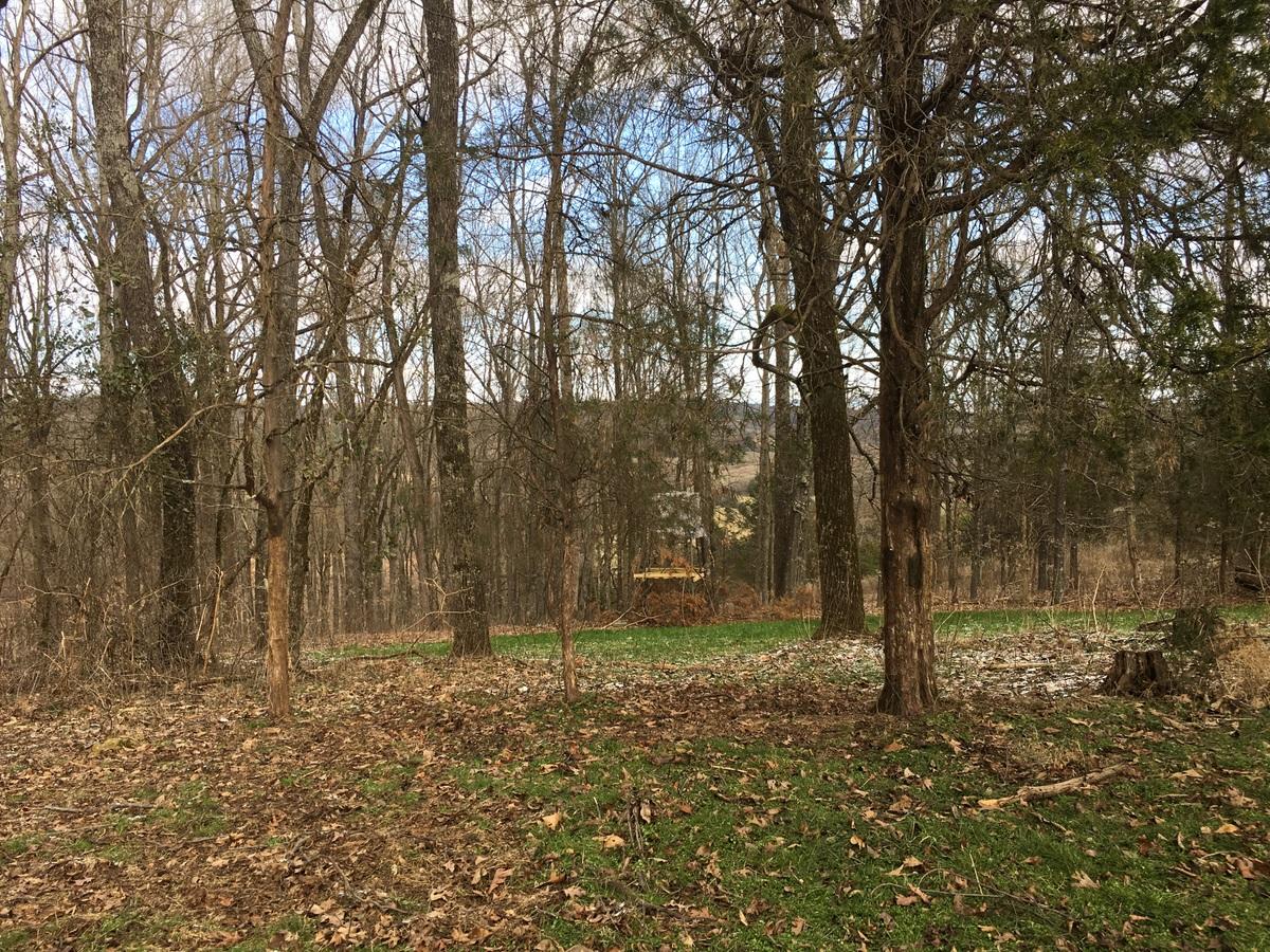 12916 Stockton Valley Road Philadelphia, TN 37846 - Photo 1 of 13 04-IMG_5610
