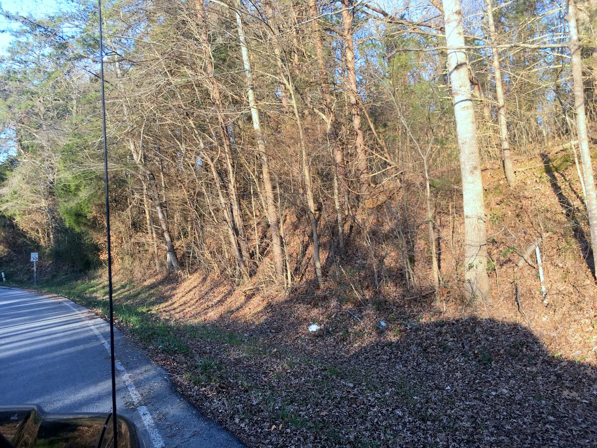 12916 Stockton Valley Road Philadelphia, TN 37846 - Photo 12 of 13 01-IMG_5370