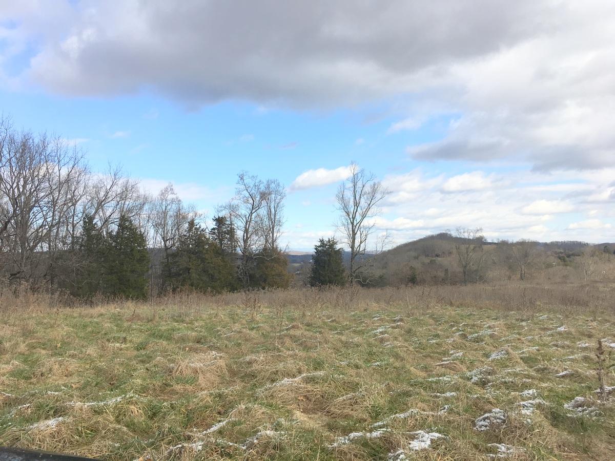 12916 Stockton Valley Road Philadelphia, TN 37846 - Photo 9 of 13 10-IMG_5618