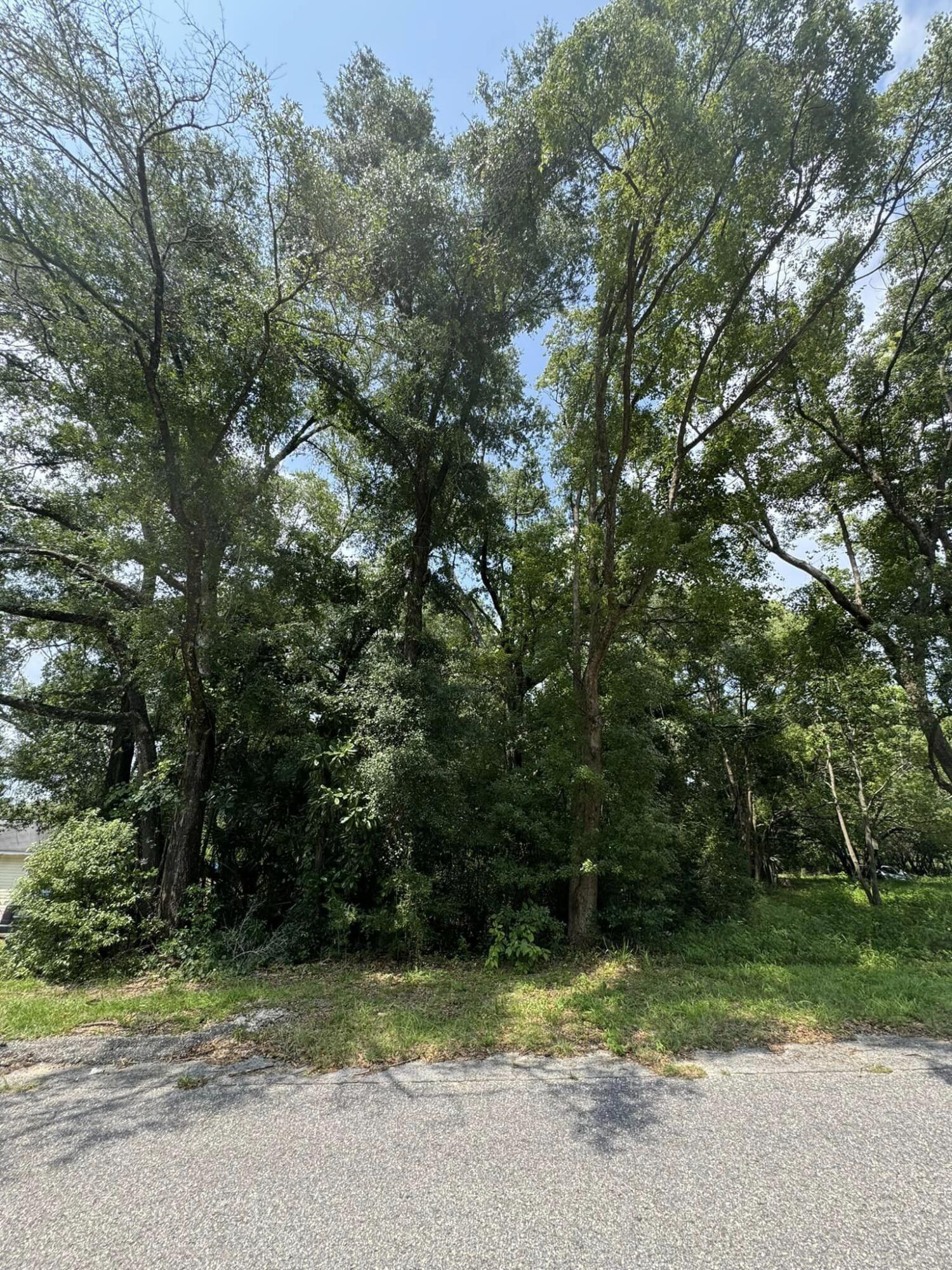 Xxx Cook Avenue DeFuniak Springs, FL 32433 - Photo 3 of 3 3