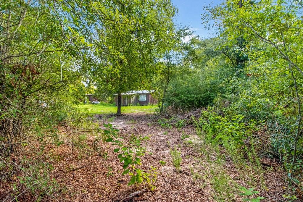 Undisclosed Address Gordon, AL 36343 - Photo 1 of 22