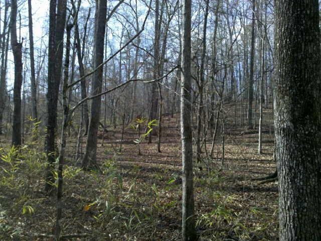 470 Turkey Creek Road Thomaston, GA 30286 - Photo 1 of 1 Gallery Image 1