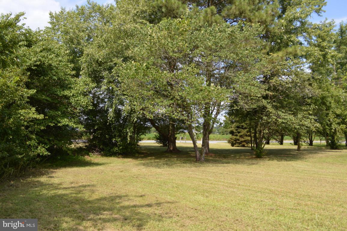 6857 Powellville Road Willards, MD 21874 - Photo 22 of 26 Gallery Image 22