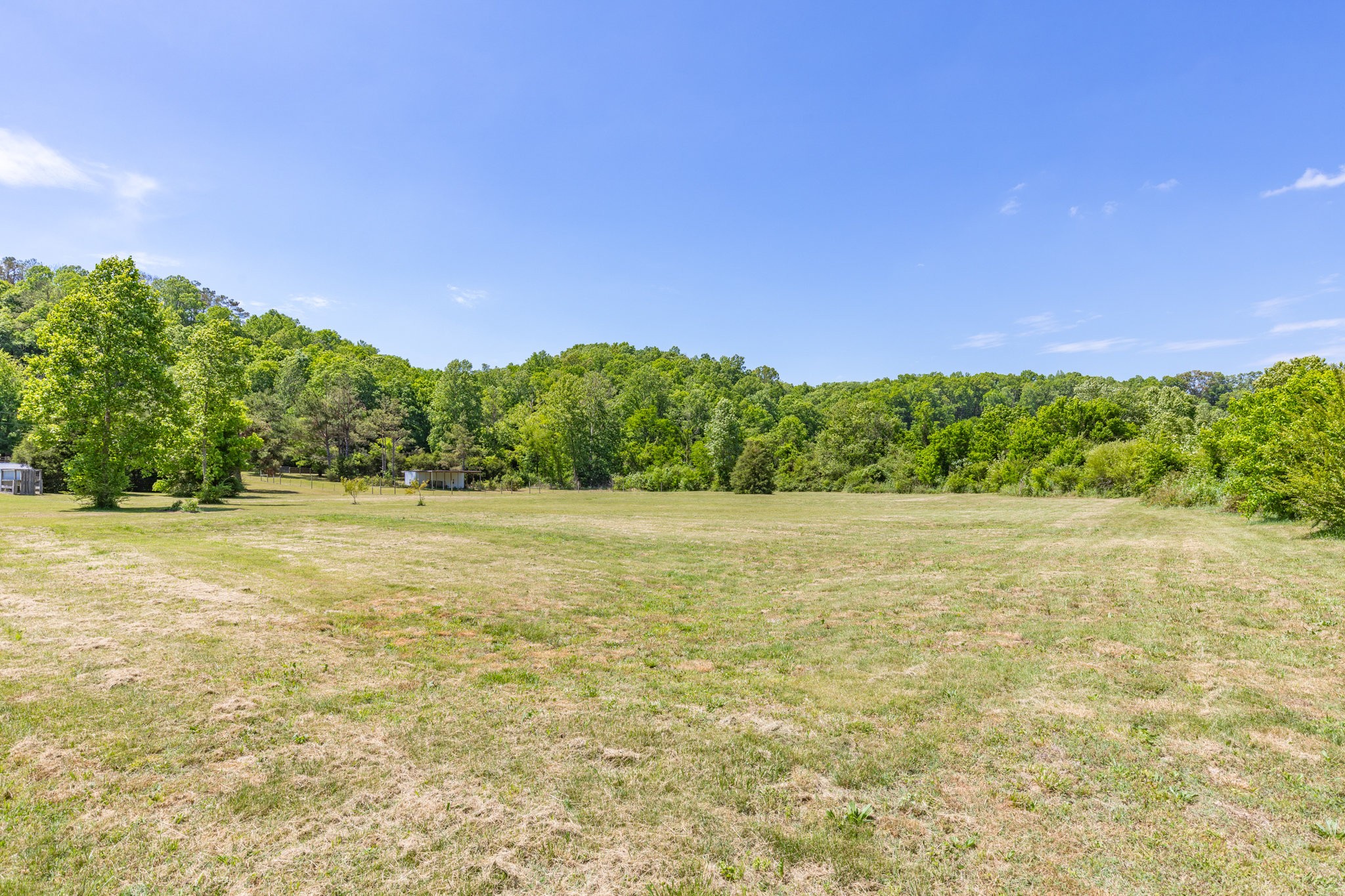 615 Little Swan Creek Road Hohenwald, TN 38462 - Photo 46 of 66