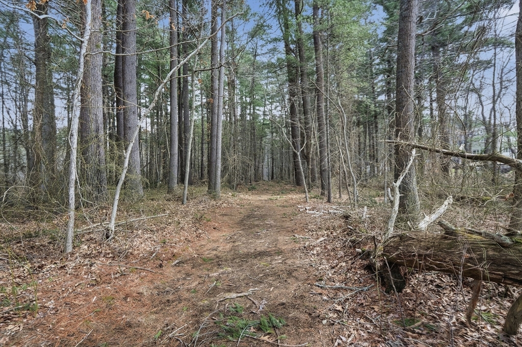 30 Packet Landing, Unit A Pembroke, MA 02359 - Photo 31 of 32 a backyard of a house with lots of green space