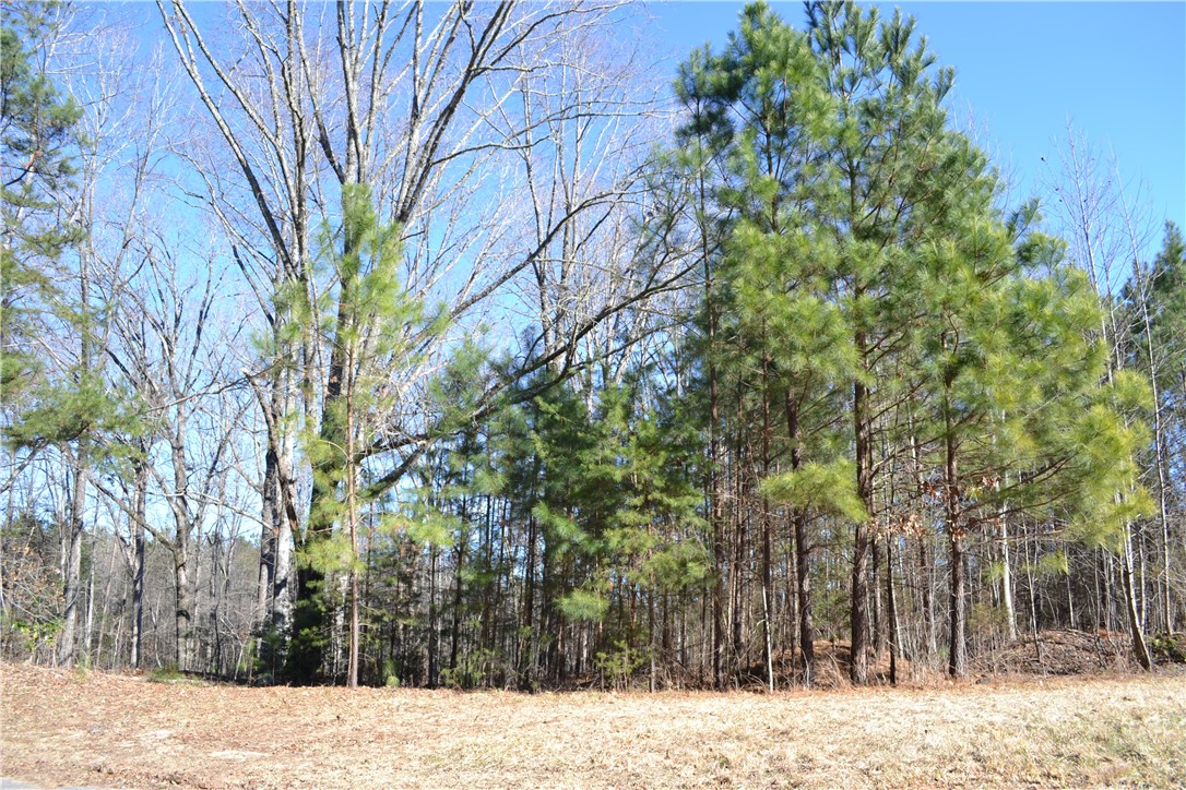 0 Meadow Ridge Drive Salem, SC 29676 - Photo 1 of 6 Gallery Image 1