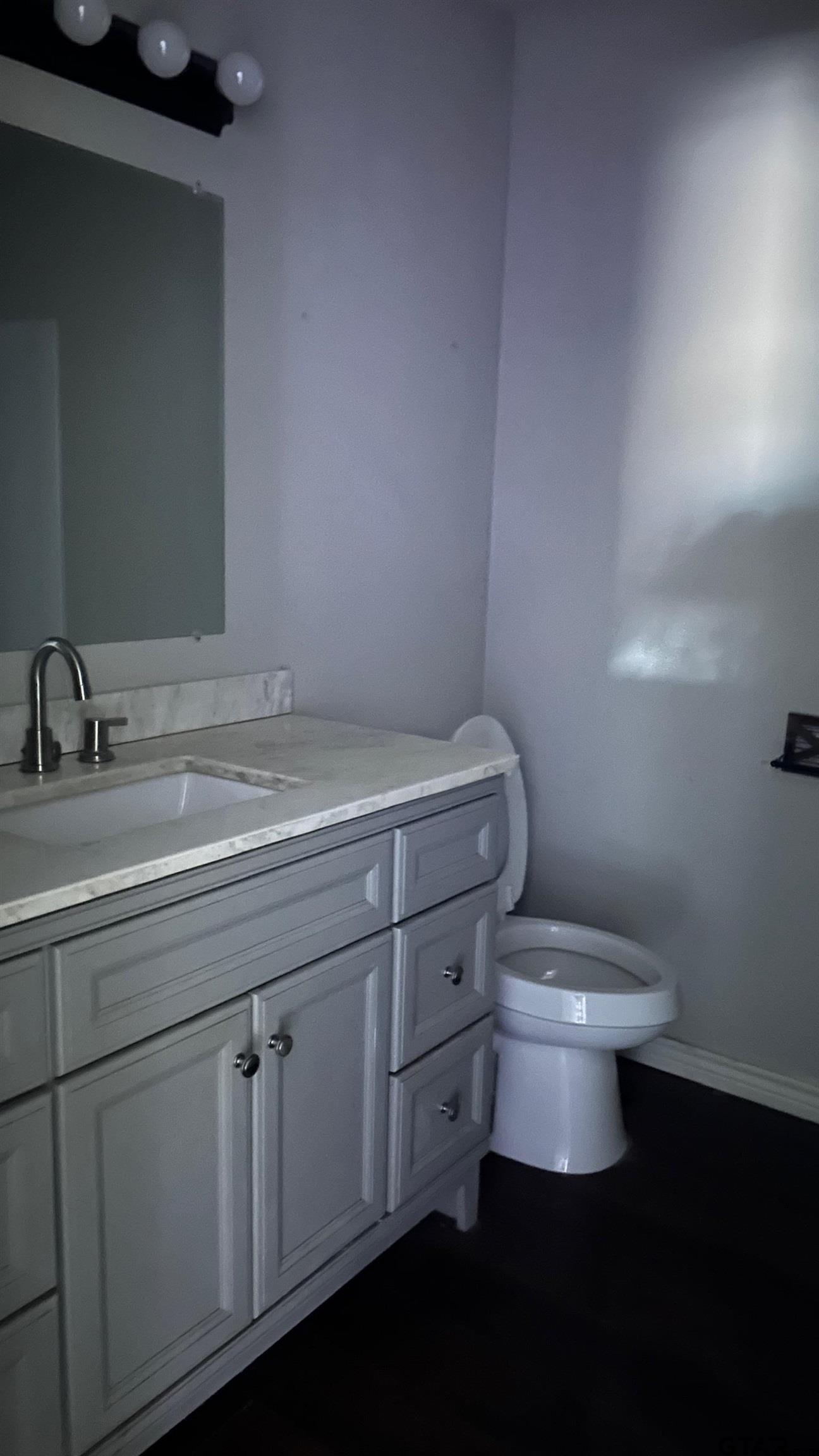 12632-c R 313 C R 313 Tyler, TX 75708 - Photo 7 of 10 a bathroom with a sink a toilet and a mirror