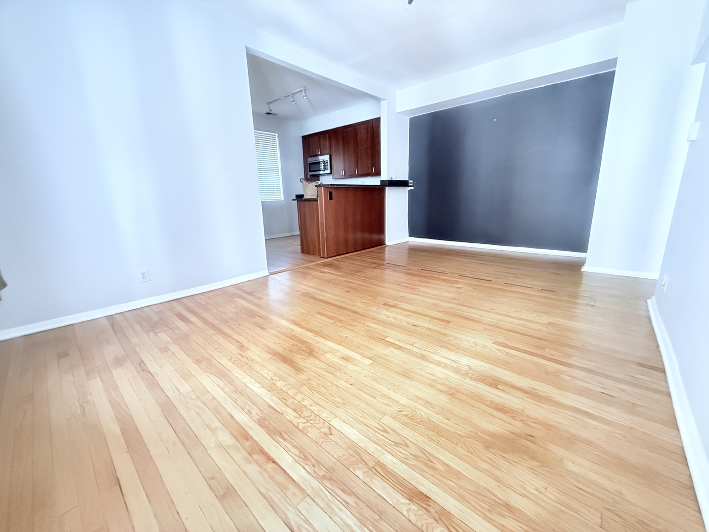 1509 East 65th Street, Unit 2 Chicago, IL 60637 - Photo 14 of 27