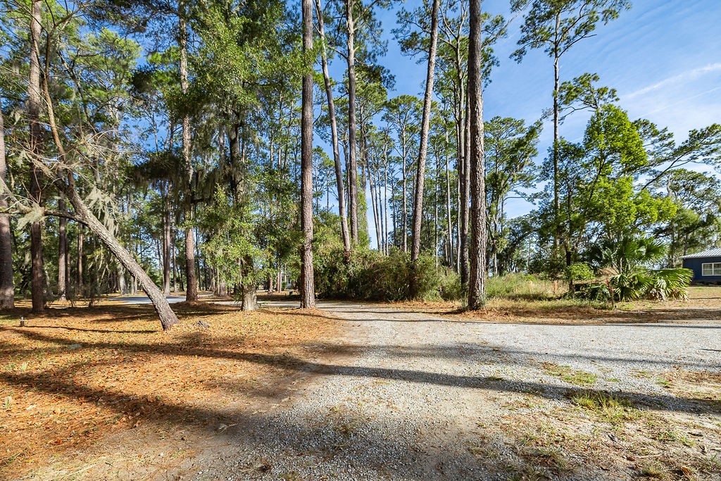 0 Oak Bluff Road Southeast McRae-Helena, GA 31037 - Photo 15 of 46