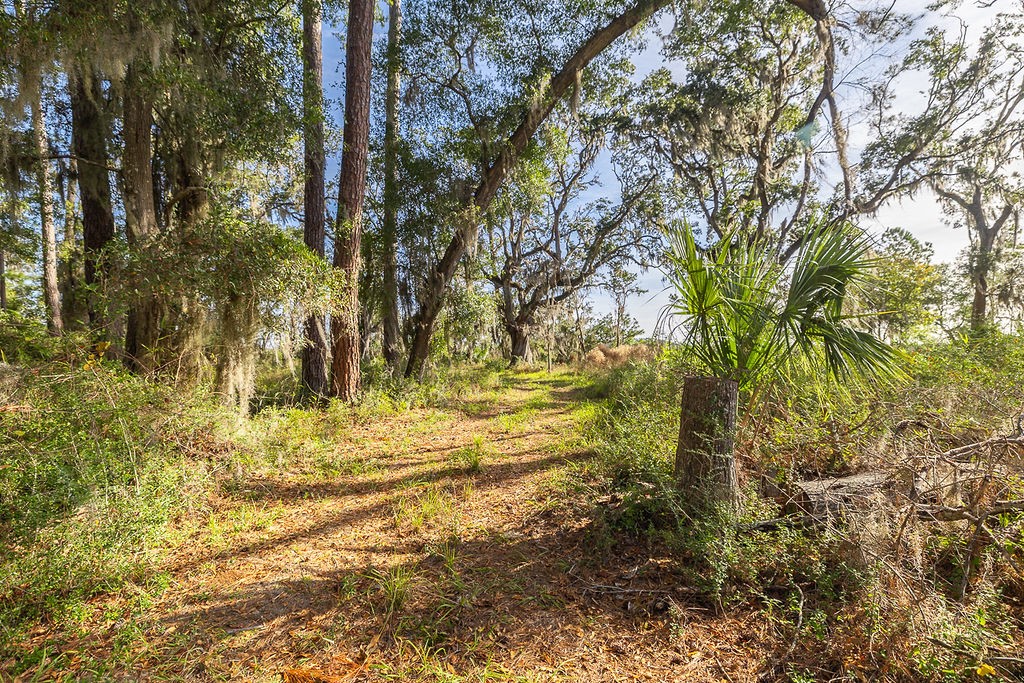 0 Oak Bluff Road Southeast McRae-Helena, GA 31037 - Photo 19 of 46