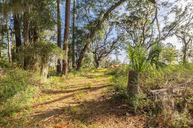 $159,000 | 0 Oak Bluff Road Southeast, McRae-Helena, GA 31037