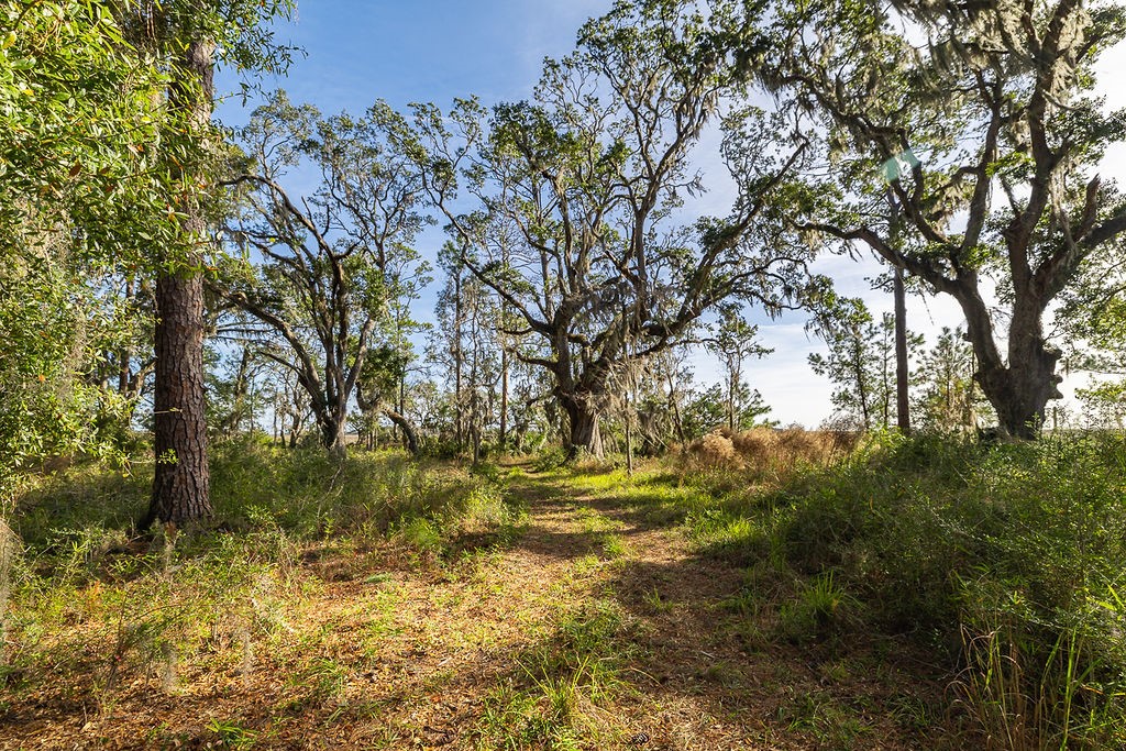 0 Oak Bluff Road Southeast McRae-Helena, GA 31037 - Photo 21 of 46