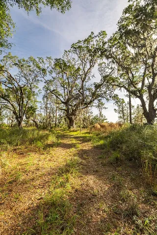 $159,000 | 0 Oak Bluff Road Southeast, McRae-Helena, GA 31037