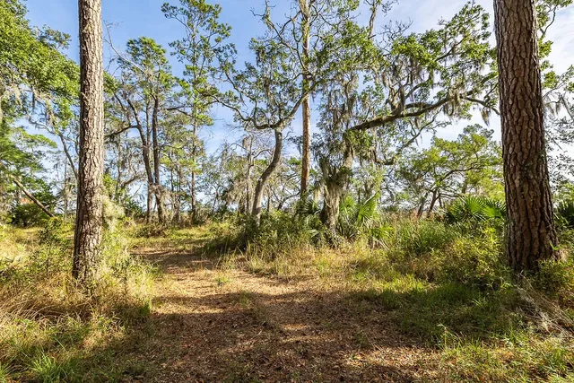 $159,000 | 0 Oak Bluff Road Southeast, McRae-Helena, GA 31037