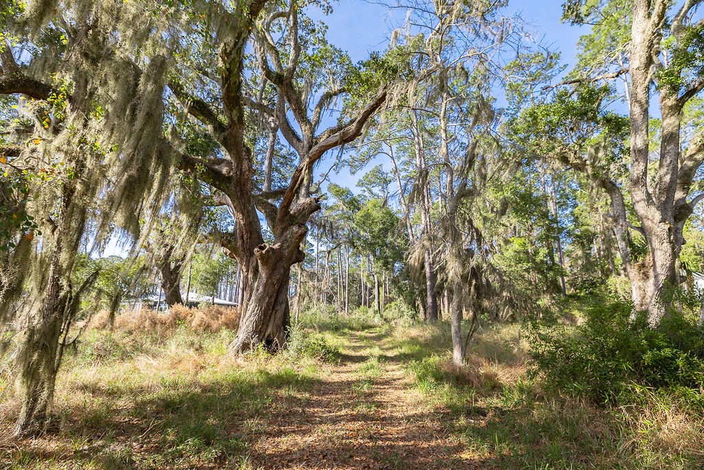 0 Oak Bluff Road Southeast McRae-Helena, GA 31037 - Photo 25 of 46
