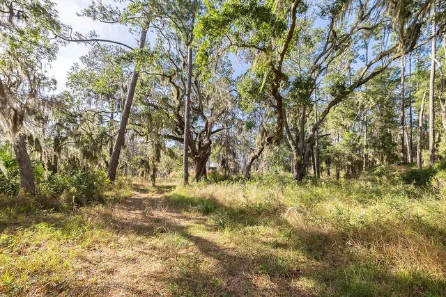 $159,000 | 0 Oak Bluff Road Southeast, McRae-Helena, GA 31037