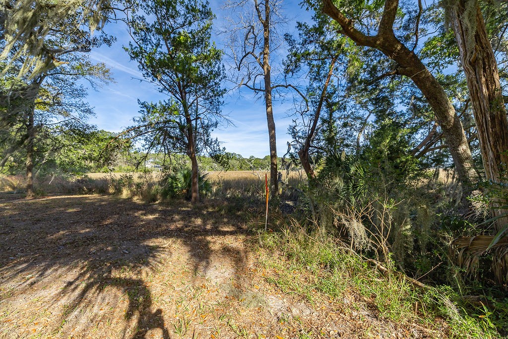 0 Oak Bluff Road Southeast McRae-Helena, GA 31037 - Photo 28 of 46