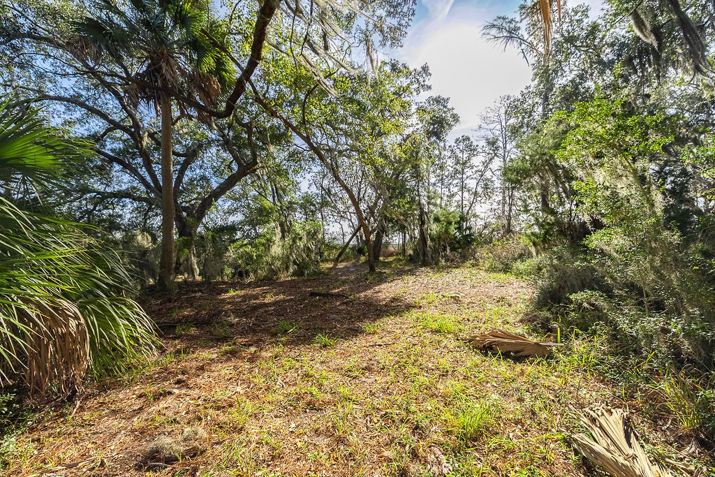 0 Oak Bluff Road Southeast McRae-Helena, GA 31037 - Photo 29 of 46