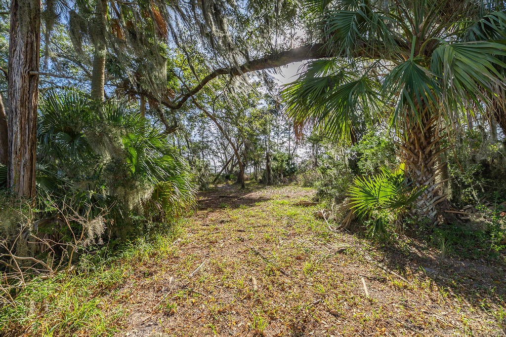 0 Oak Bluff Road Southeast McRae-Helena, GA 31037 - Photo 30 of 46