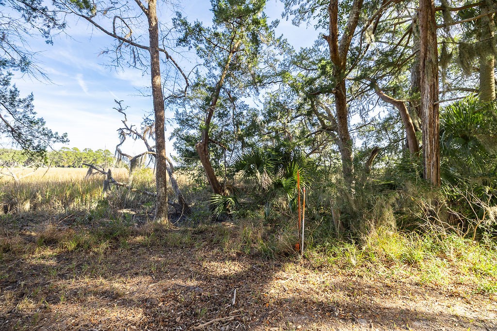 0 Oak Bluff Road Southeast McRae-Helena, GA 31037 - Photo 31 of 46