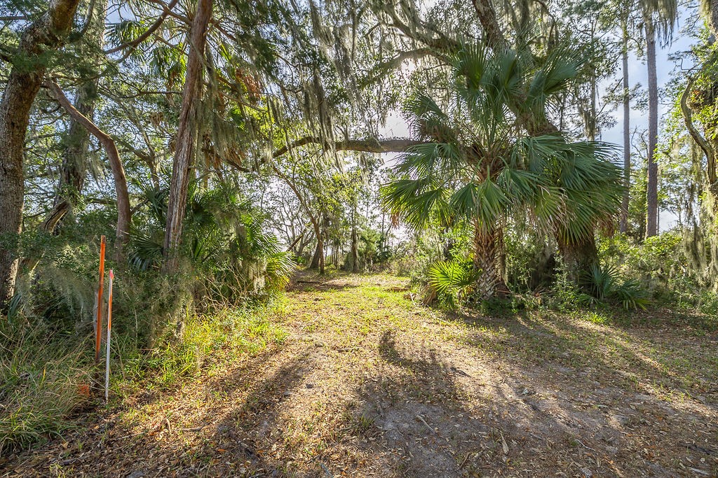 0 Oak Bluff Road Southeast McRae-Helena, GA 31037 - Photo 32 of 46