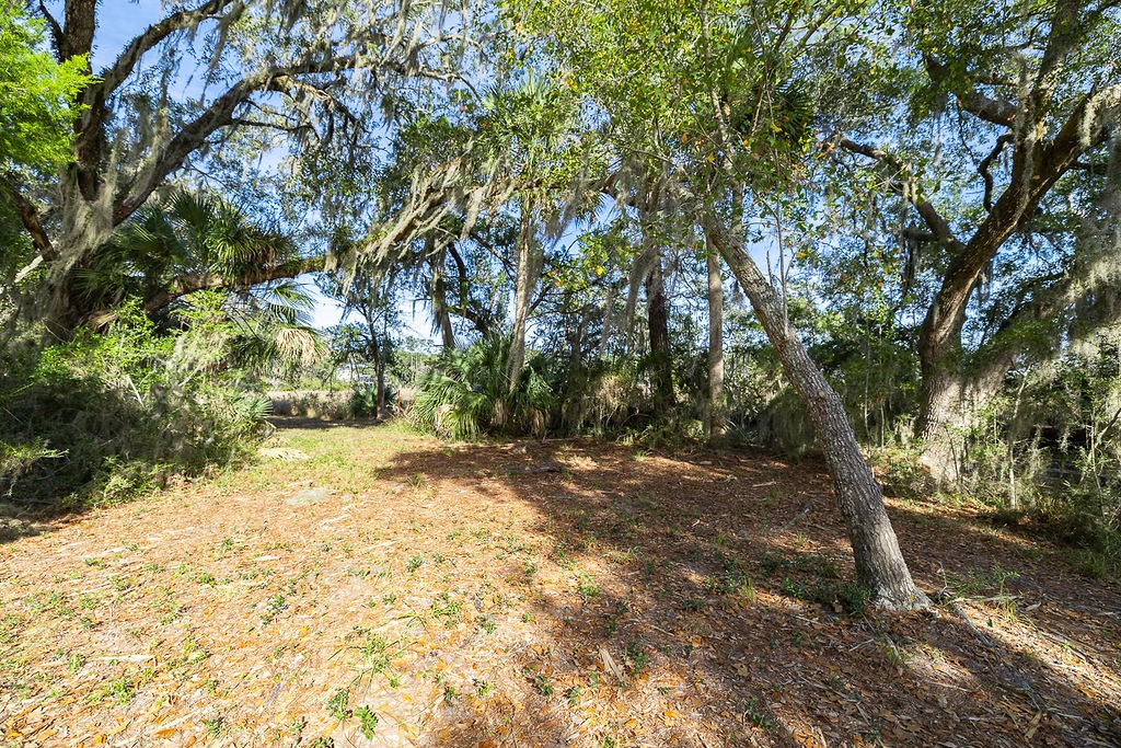 0 Oak Bluff Road Southeast McRae-Helena, GA 31037 - Photo 33 of 46