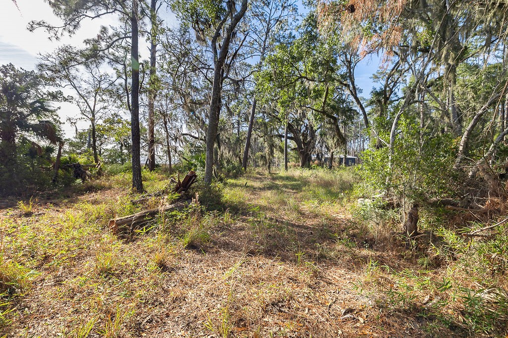 0 Oak Bluff Road Southeast McRae-Helena, GA 31037 - Photo 34 of 46