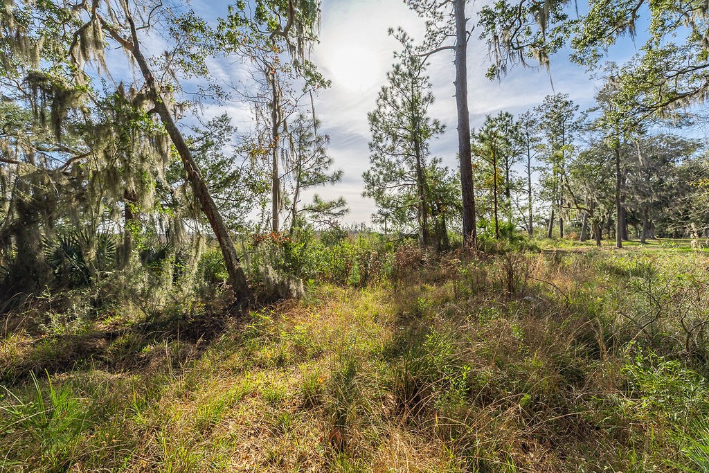 0 Oak Bluff Road Southeast McRae-Helena, GA 31037 - Photo 35 of 46