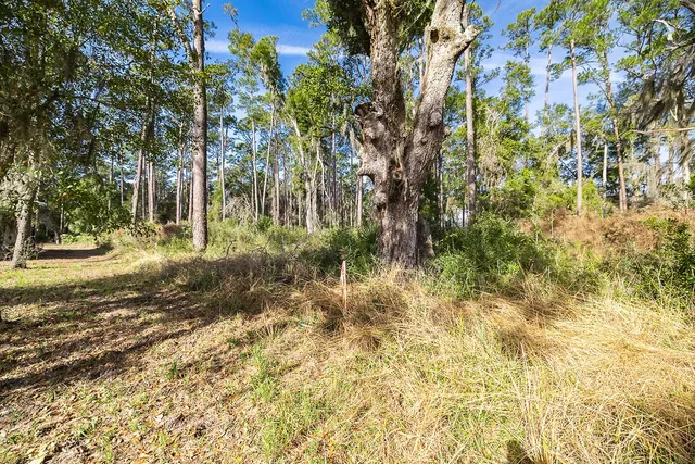 $159,000 | 0 Oak Bluff Road Southeast, McRae-Helena, GA 31037