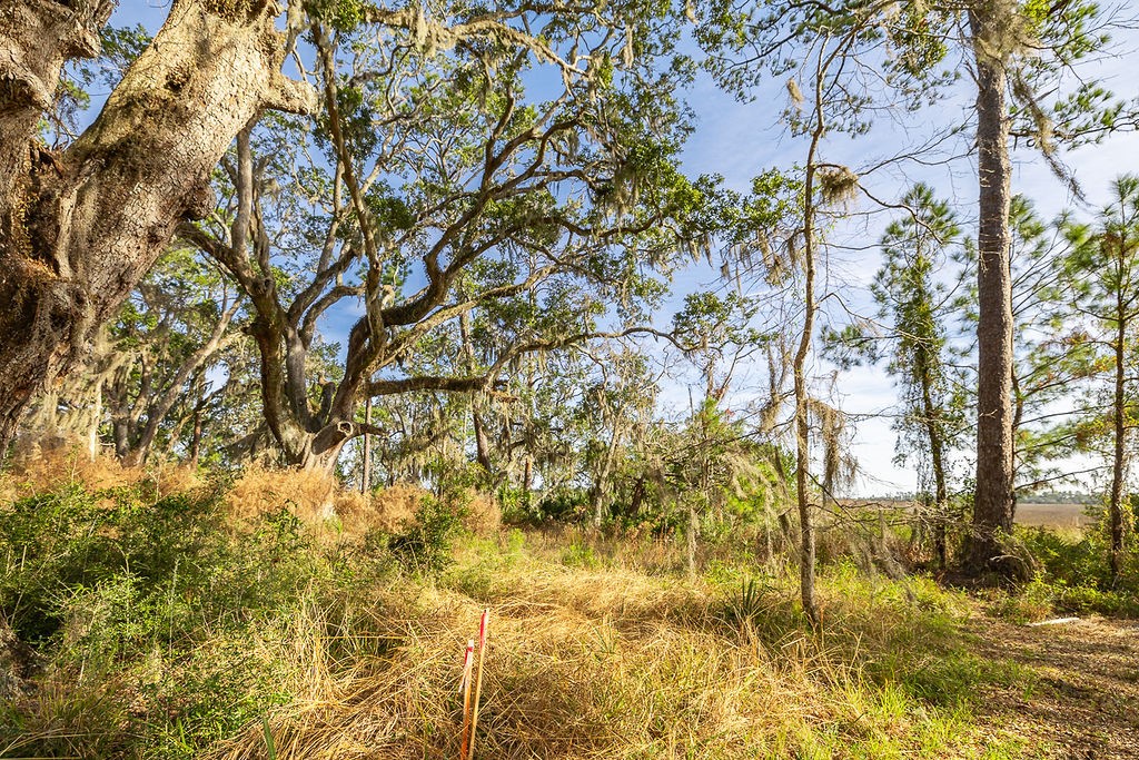 0 Oak Bluff Road Southeast McRae-Helena, GA 31037 - Photo 39 of 46