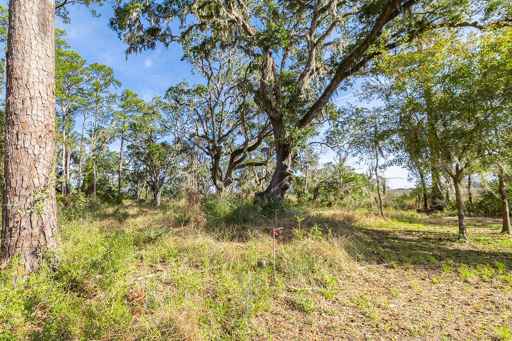 0 Oak Bluff Road Southeast McRae-Helena, GA 31037 - Photo 40 of 46